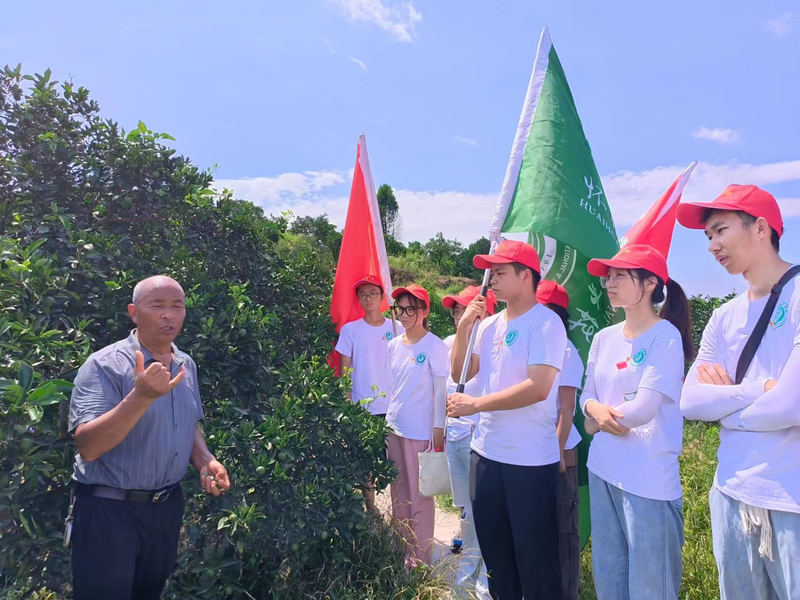 1689304000381066436.jpg 4.jpg