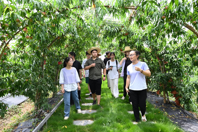 1689762141361049248.png 图片1.png